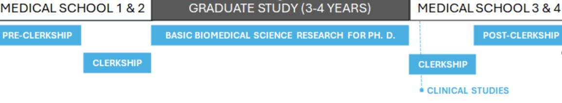 Timeline of MSTP showing first two years of medical school, three to four years of graduate school, and years 3 and 4 of medical school